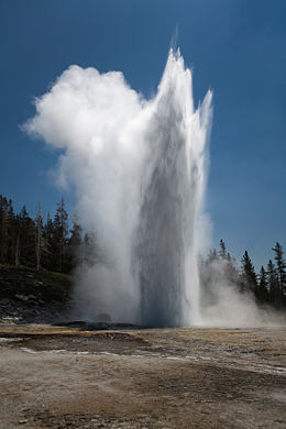 Yellowstone